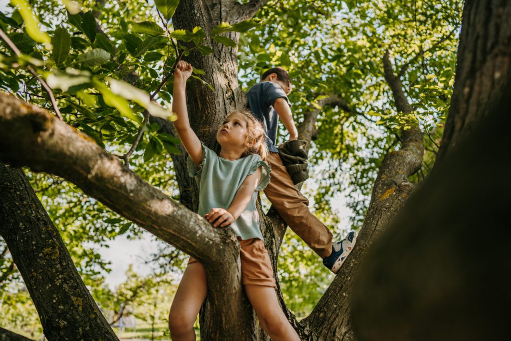 Kids playing on a tree